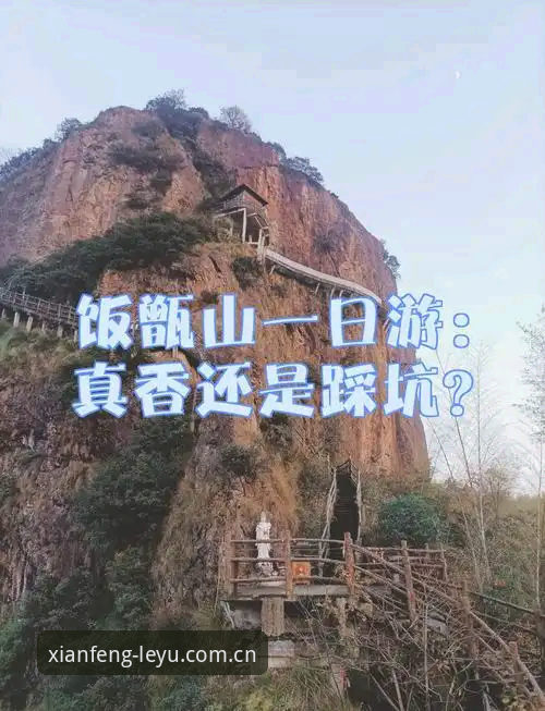 从踩坑到真香：一位老玩家的乐鱼体育平台使用心得与棋牌替代APP推荐